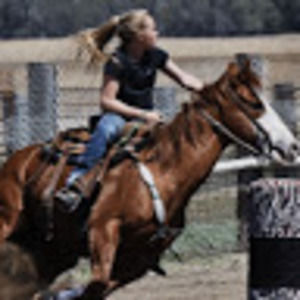 Meet your Posher, Lexus